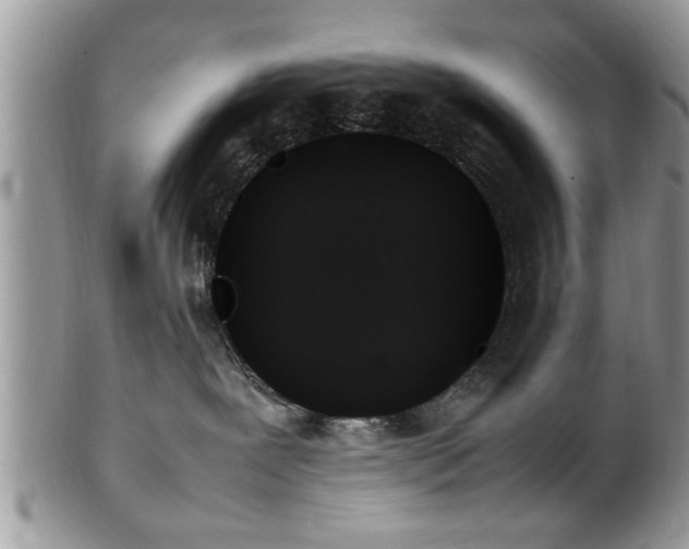 X0000102260239200808011412