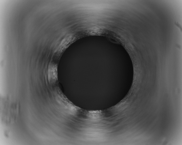 X0000102260240200808011412