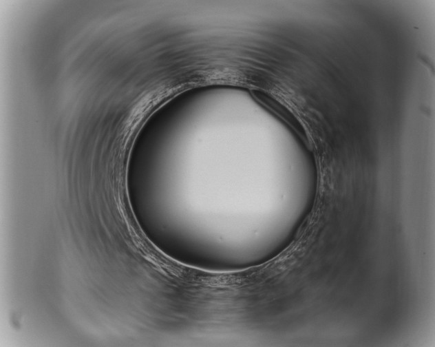 X0000102260241200808011411