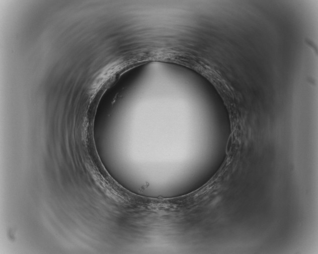 X0000102260242200808011411