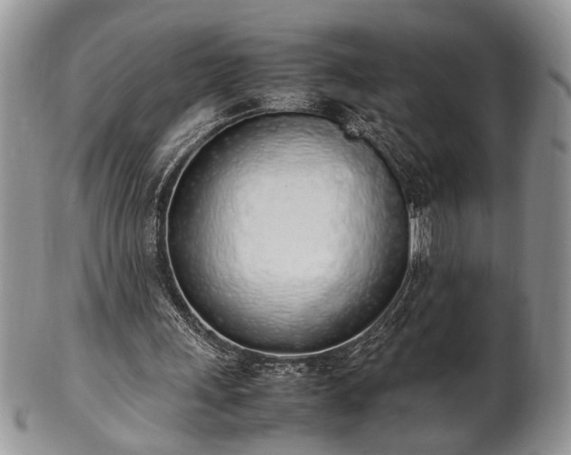 X0000102260243200808011411