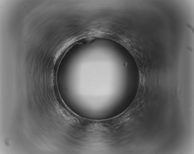 X0000102260244200808011411