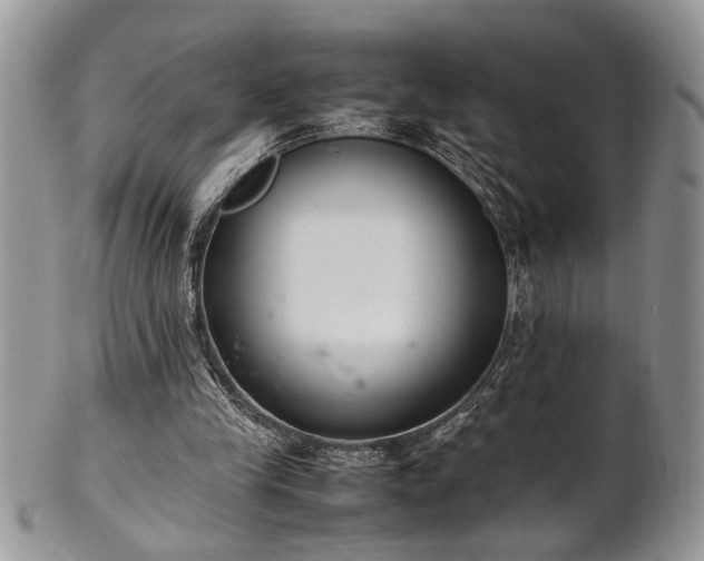 X0000102260245200808011411