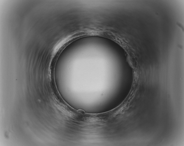 X0000102260246200808011411