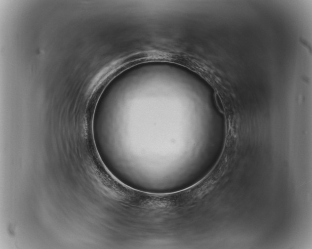 X0000102260247200808011411