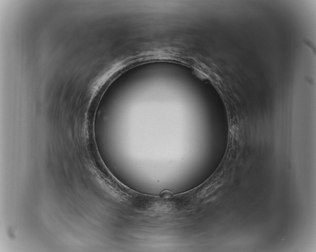 X0000102260248200808011411