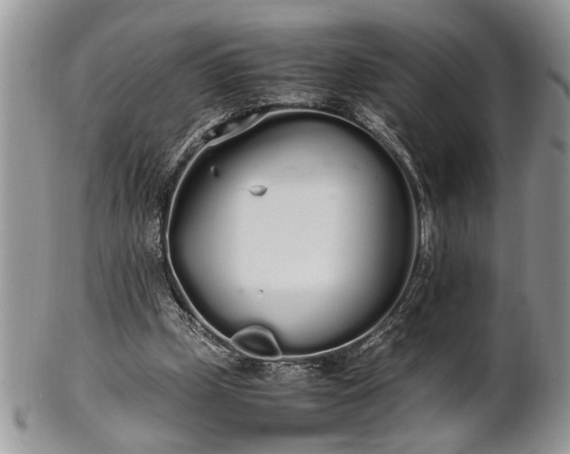 X0000102260249200808011411