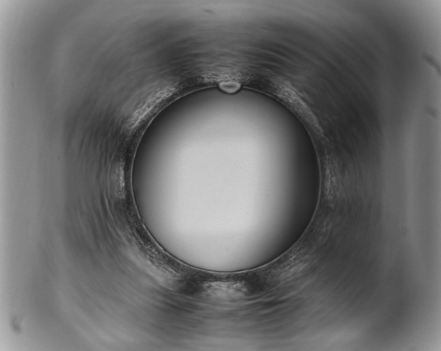 X0000102260251200808011411