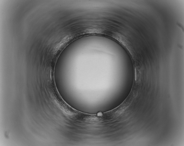 X0000102260253200808011411