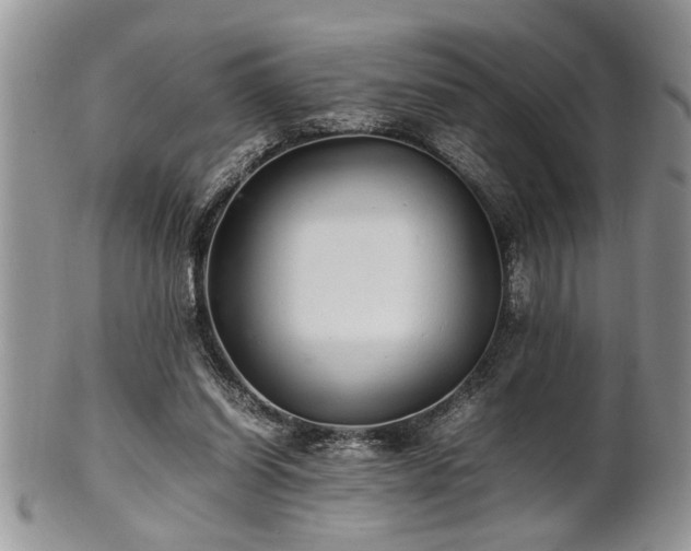 X0000102260254200808011411