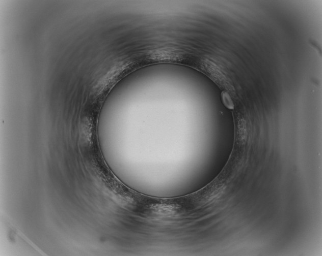 X0000102260255200808011411