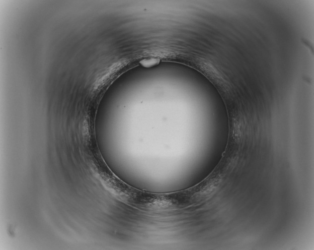 X0000102260256200808011411