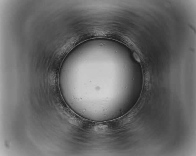 X0000102260257200808011411