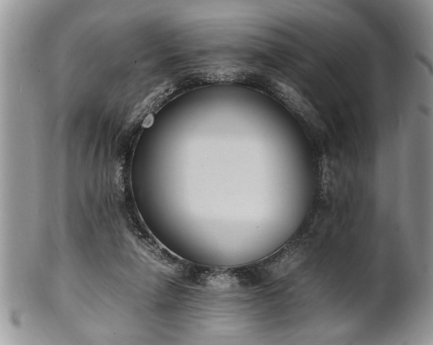 X0000102260258200808011411