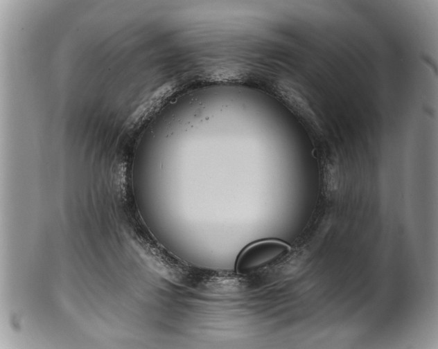 X0000102260260200808011411