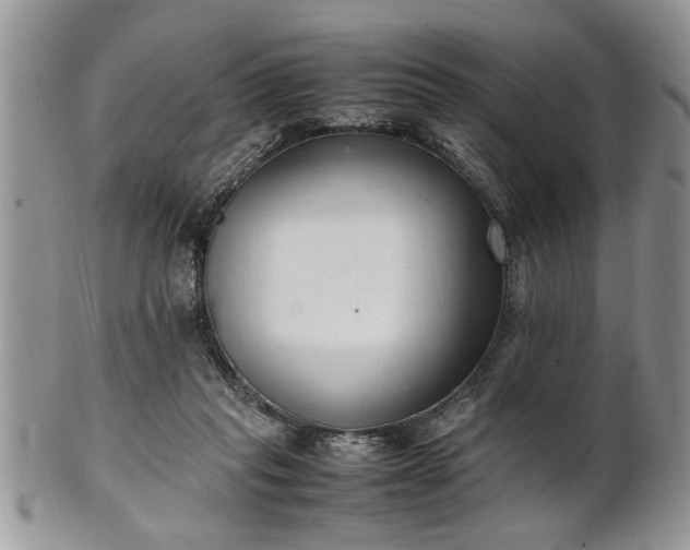 X0000102260261200808011411