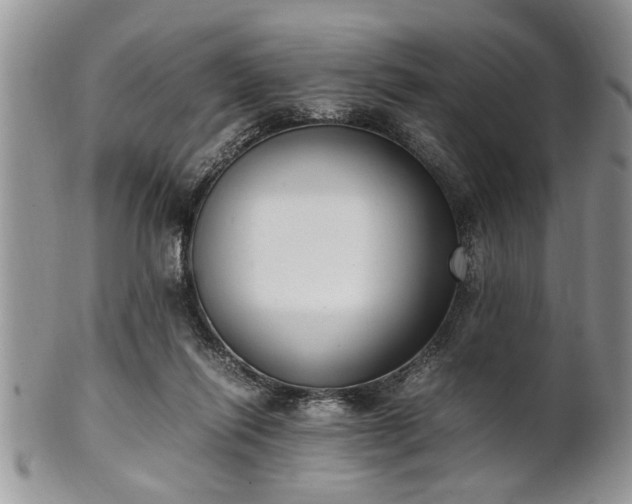 X0000102260262200808011411