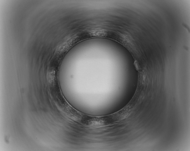 X0000102260263200808011411