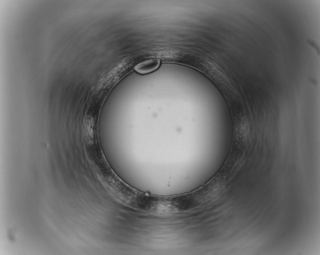 X0000102260264200808011411