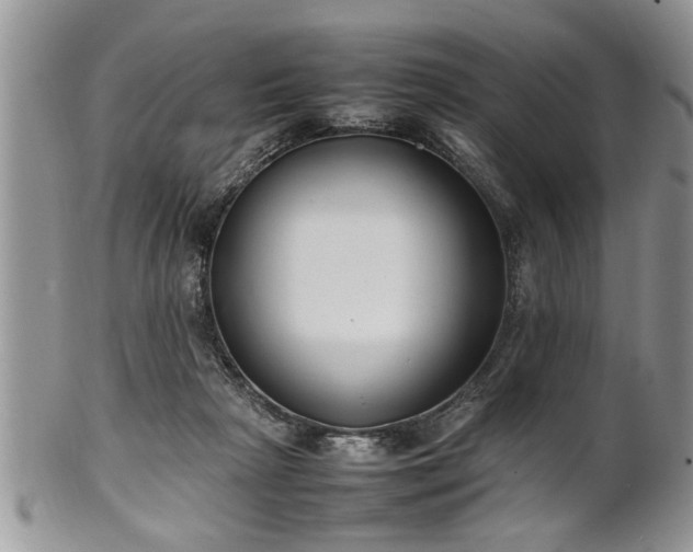 X0000102260265200808011411