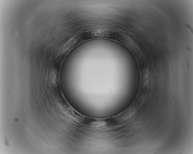 X0000102260266200808011412