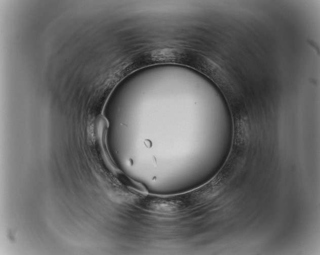 X0000102260267200808011412