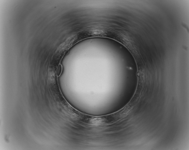 X0000102260269200808011412