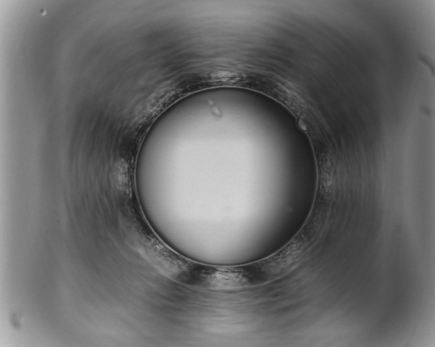 X0000102260270200808011412