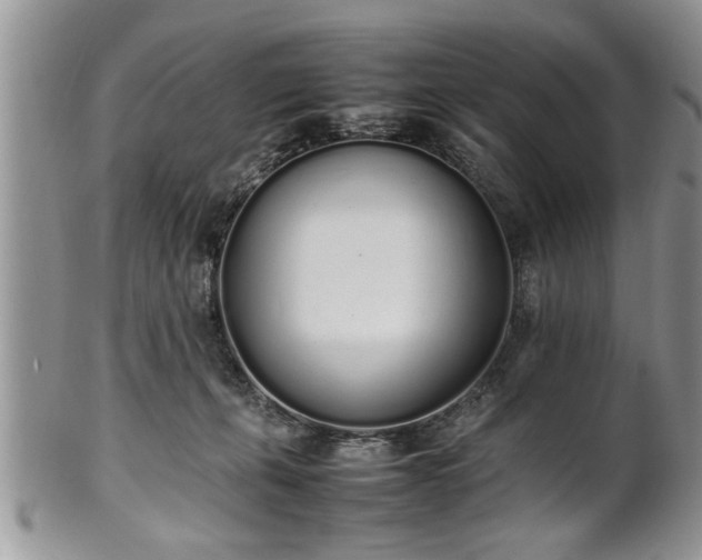 X0000102260271200808011412