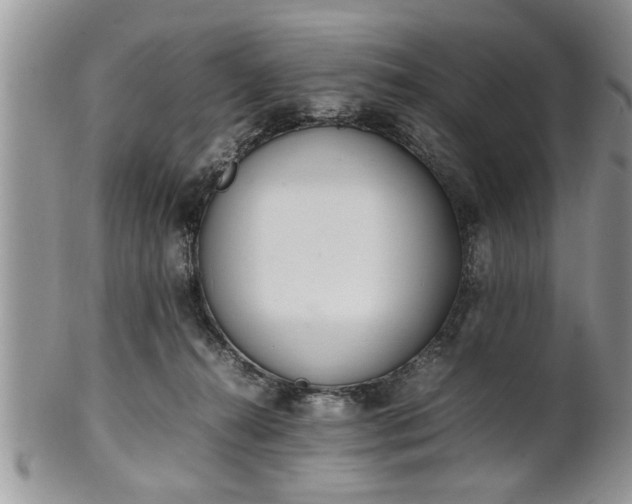 X0000102260272200808011412