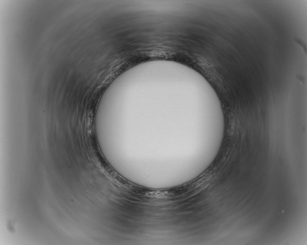 X0000102260273200808011412