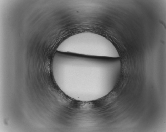 X0000102260274200808011412