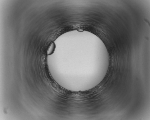 X0000102260275200808011412