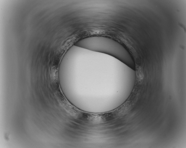 X0000102260276200808011412