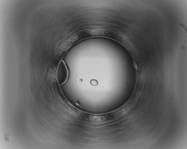 X0000102260277200808011412