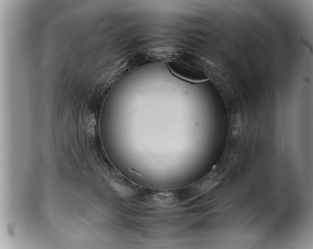 X0000102260279200808011412