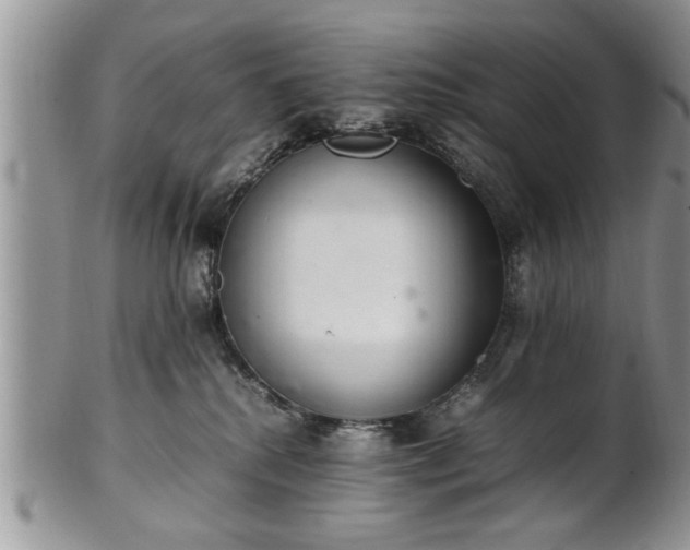 X0000102260280200808011412