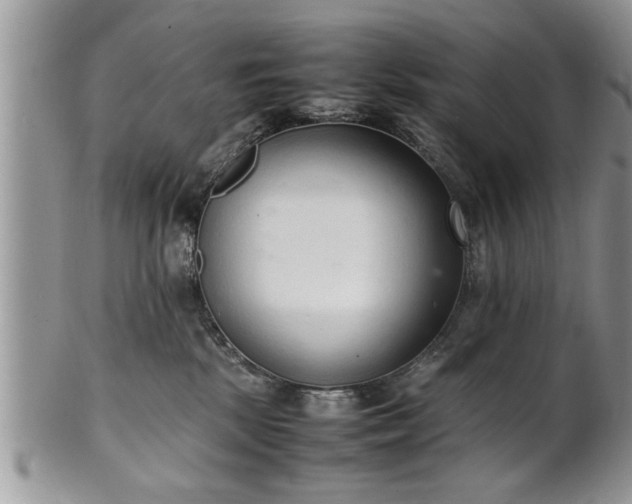 X0000102260281200808011412