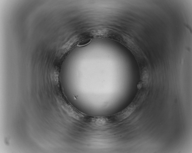 X0000102260282200808011412