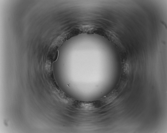 X0000102260283200808011412