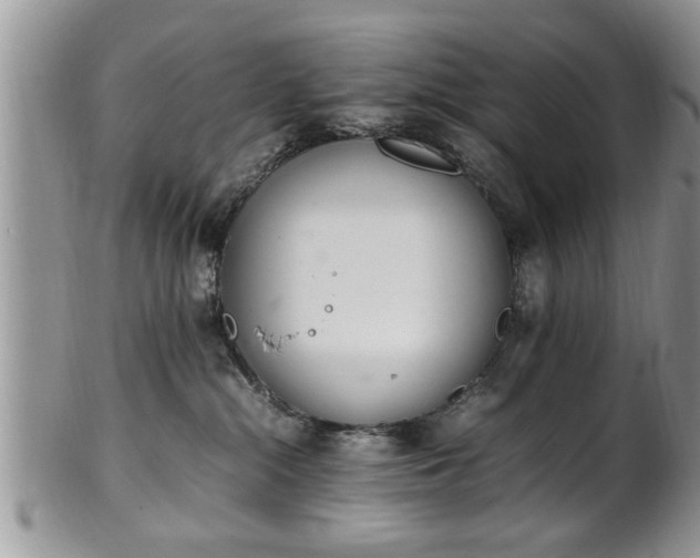 X0000102260284200808011412