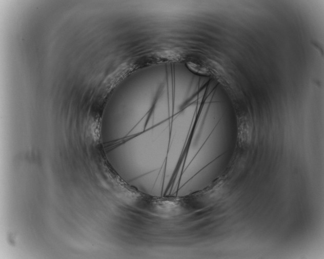 X0000102260285200808011412