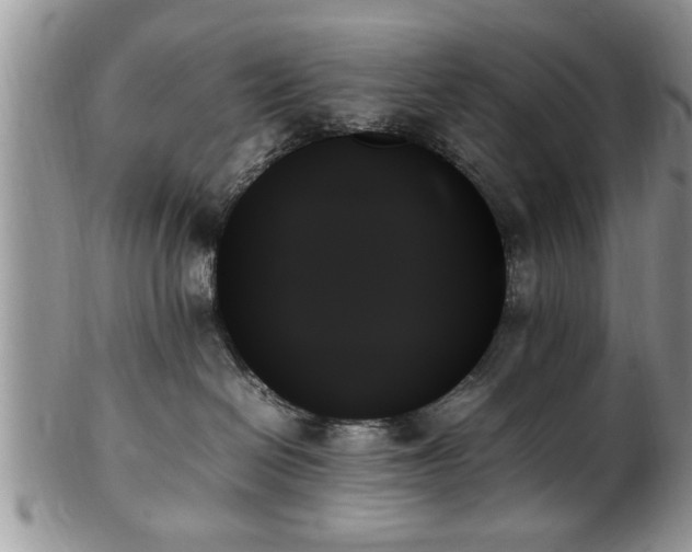 X0000102260286200808011412