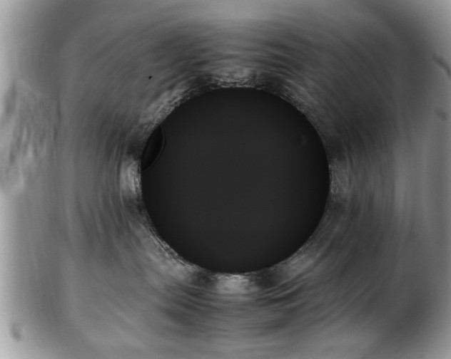 X0000102260287200808011412