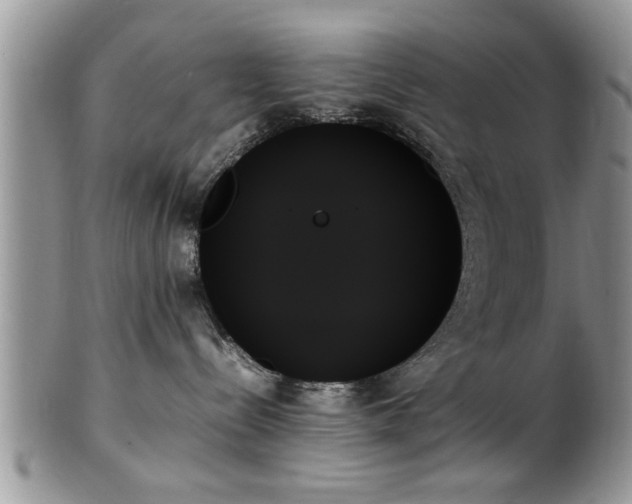 X0000102260288200808011412