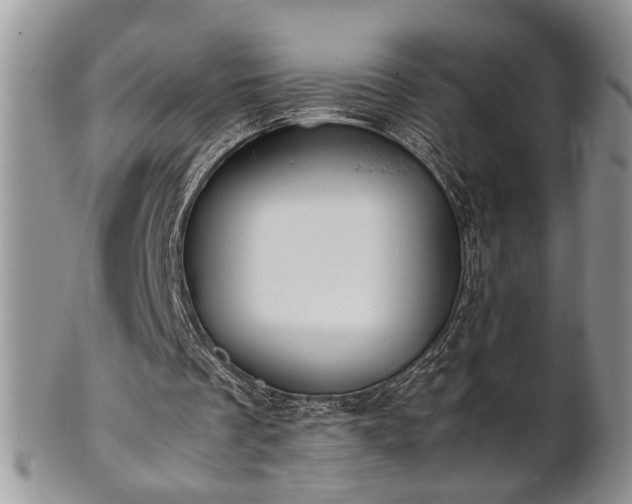 X0000102260289200808011411