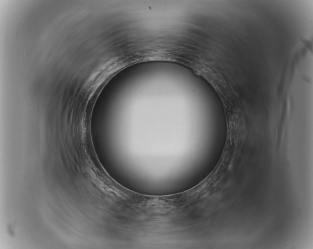 X0000102260290200808011411