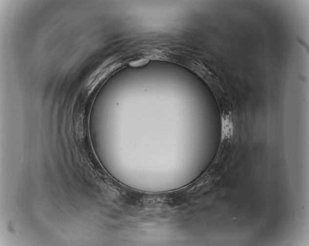 X0000102260291200808011411