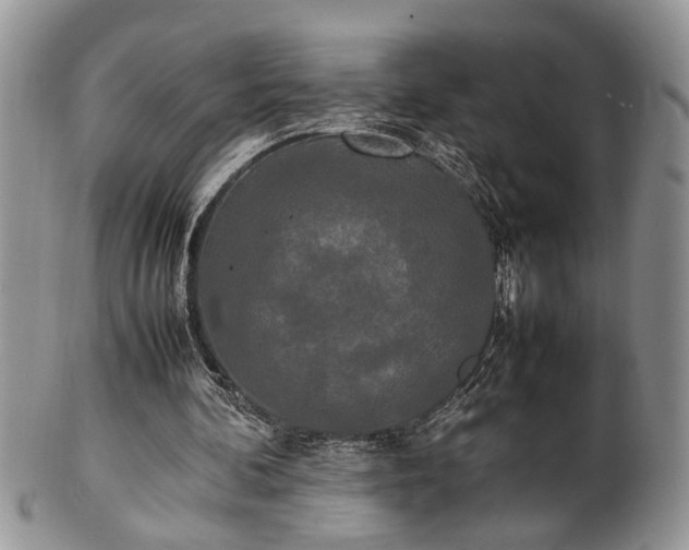 X0000102260292200808011411