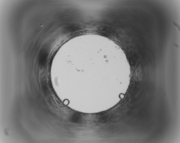 X0000102260293200808011411